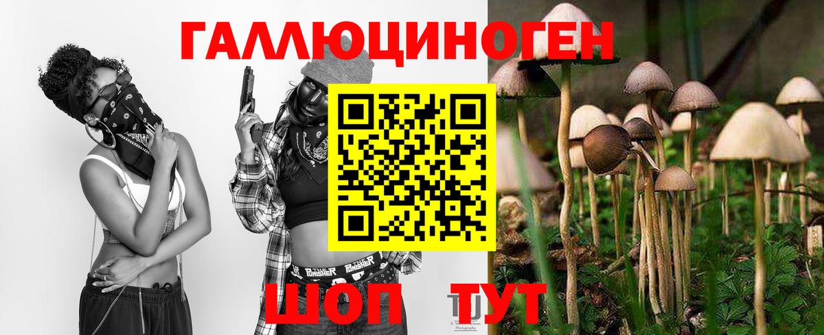 Иваново  закладка  Вход с VPN  Псилоцибиновые грибы Cubensis 