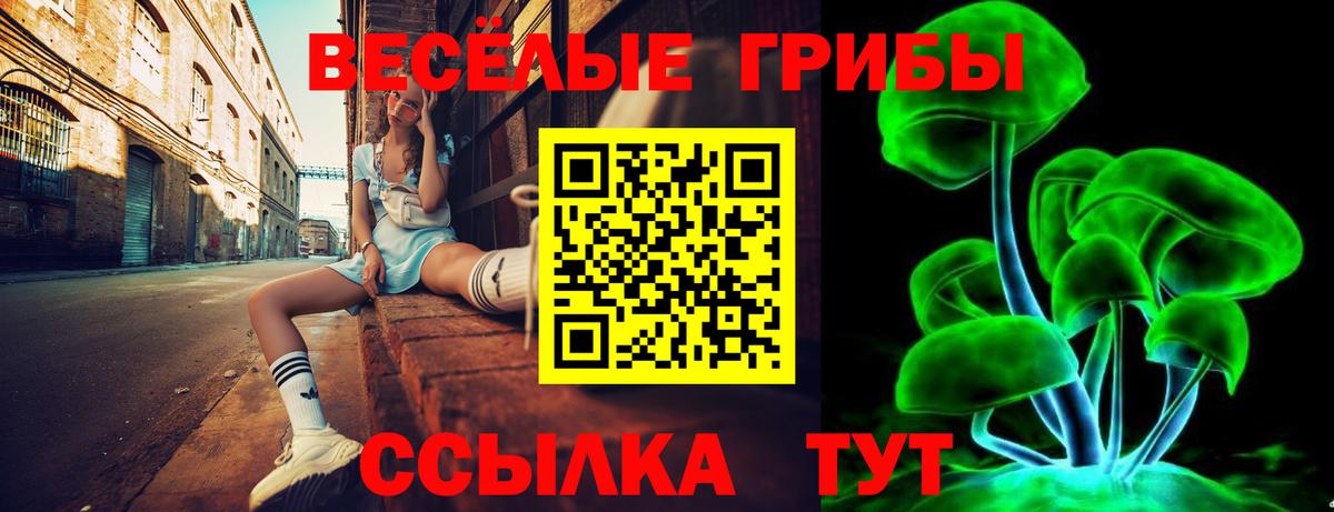 Псилоцибиновые грибы MAGIC MUSHROOMS Иваново